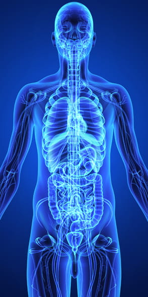 DELA - Don de son corps à la science